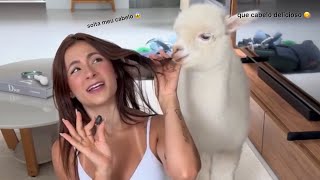 Quanto Eu Gasto Para Manter A Zuzu.