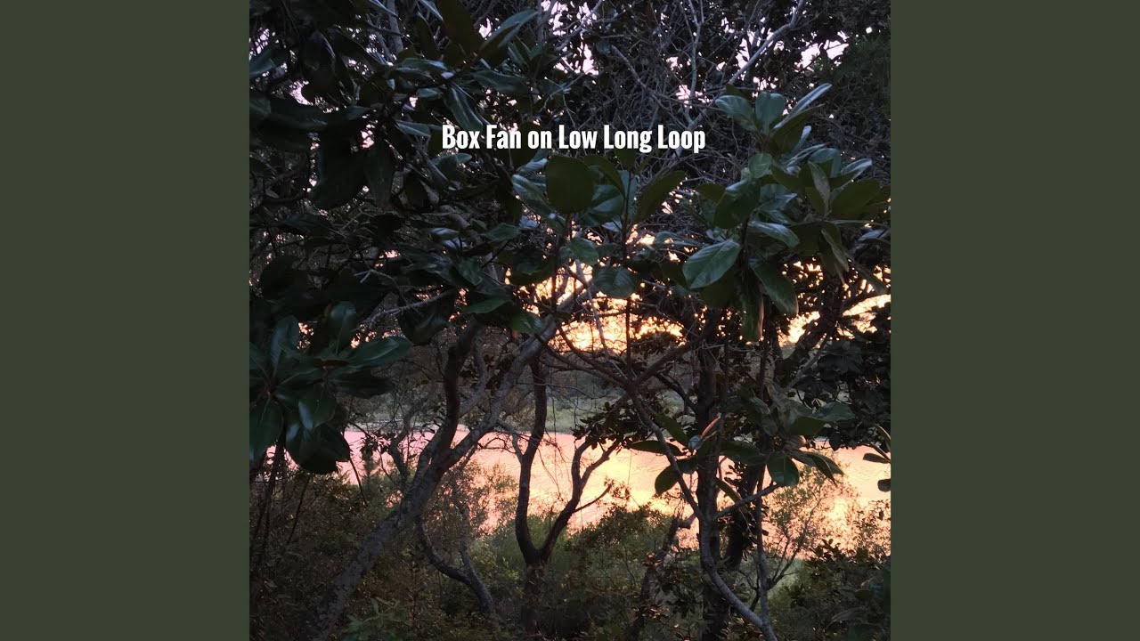 Box Fan On Low Long Loop - Fan Sounds: Song Lyrics, Music Videos & Concerts