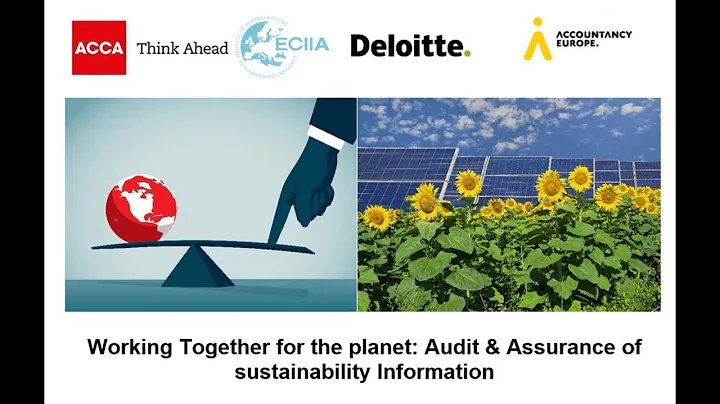Working Together for the planet: Audit & Assurance...