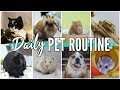 LIFE WITH 8 PETS! | Daily pet routine