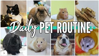 LIFE WITH 8 PETS! | Daily pet routine
