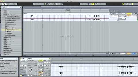 EVP reviewing demonstration