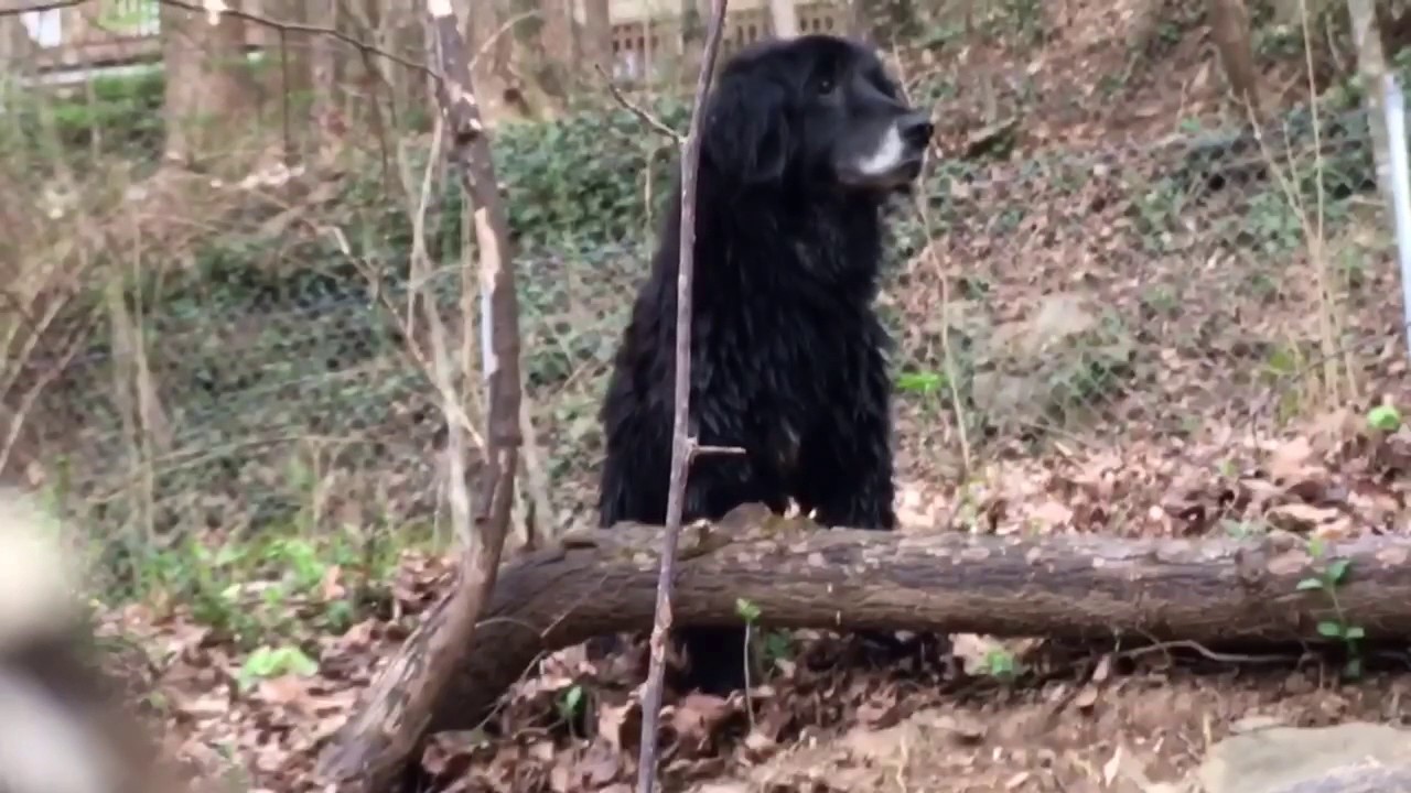 Lullwater Park — Spring 2016