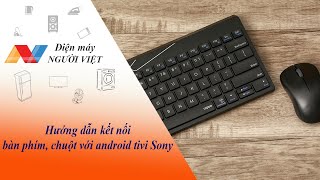 Hướng dẫn kết nối bàn phím, chuột với android tivi Sony - Điện Máy Người Việt