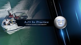 A29 In Practice