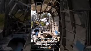 Crashed WW2 Bomber in Forest