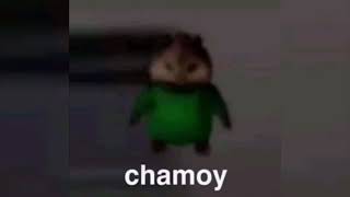 chamoy meme