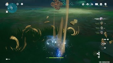 Ayaka (C6/R5) CA Damage Showcase feat Perpetual Mechanical Array