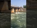Fishing in Godavari river Dowleshvaram #trending #funny #enjoying #nature #