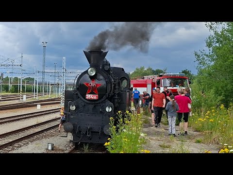 Všudybylka v Českých Velenicích (Jihočeské léto s párou #2)