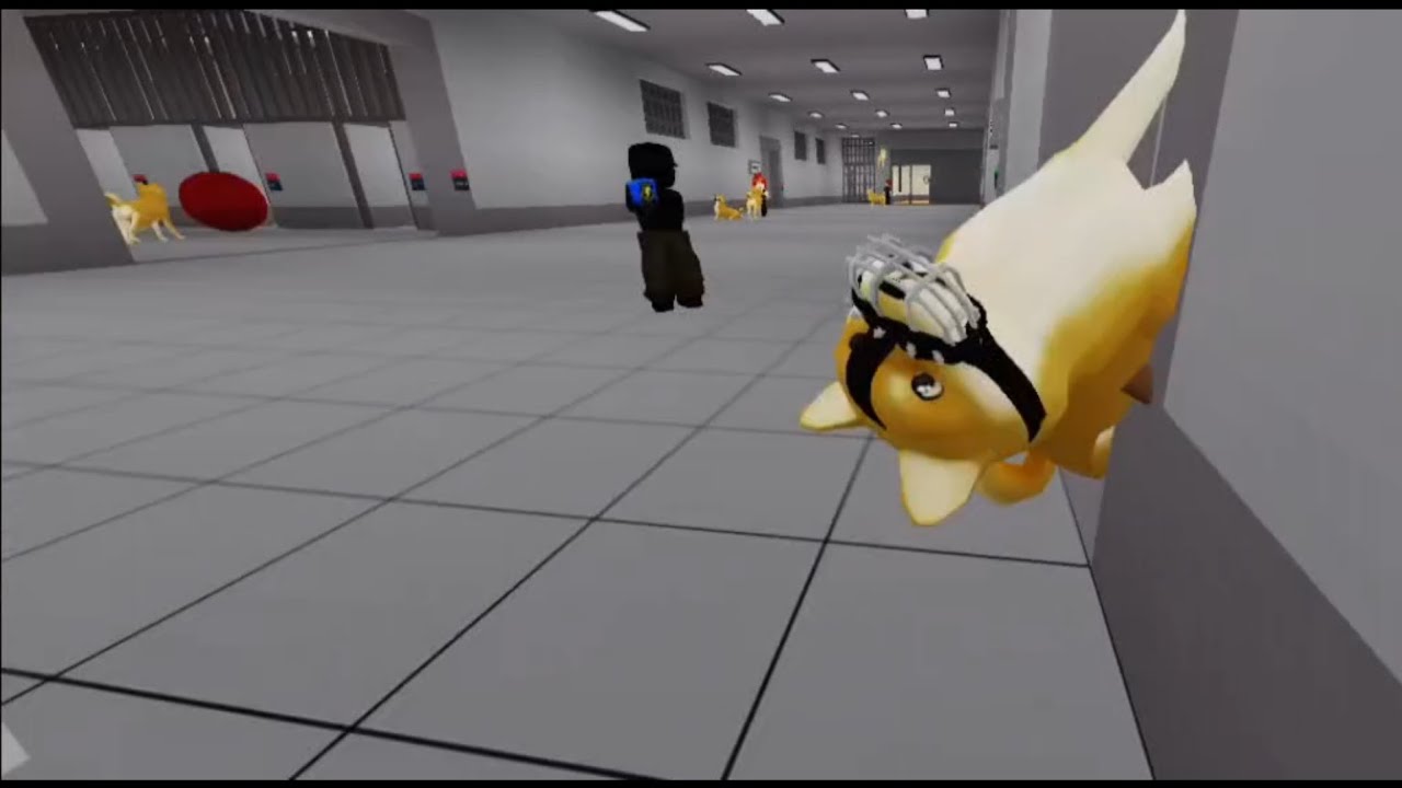 roblox dog pound