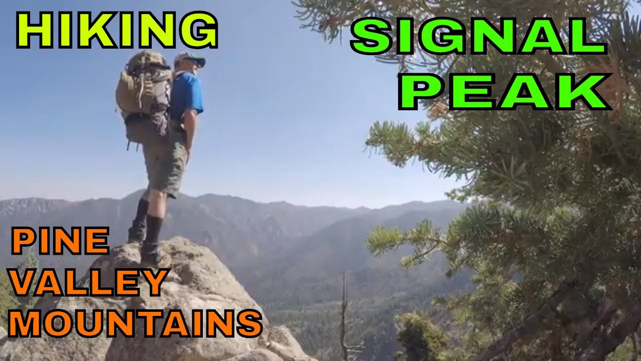 Hiking Signal Peak, Pine Valley Mountains, Utah YouTube