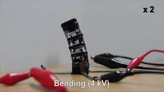 Dedielectric Elastomer Finger Gripper