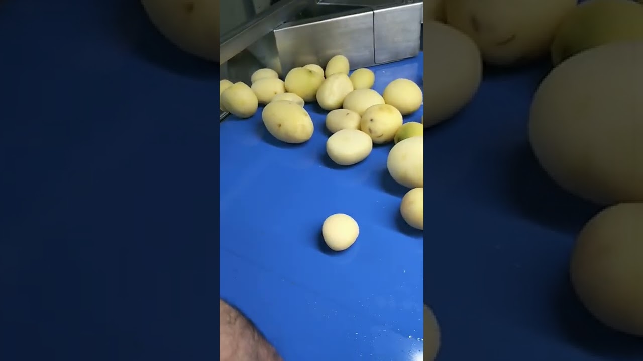 Linie curatat taiat cartofi FPCF Smart Duo