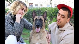 قصة الوفاء التي أبكت المغاربة الكلب الوفي? الجزء 2