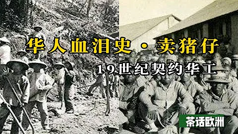 19世紀末海外華人勞工的血淚史｜古巴華人勞工｜秘魯華人勞工｜聽說過「賣豬仔」嗎？賣的不是豬，而是那些19世紀末去海外工作的華人勞工 - 天天要聞