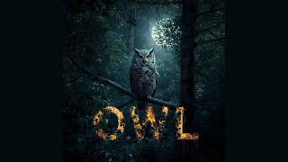 Baykuş Epik Orkestral Fantezi Müziği