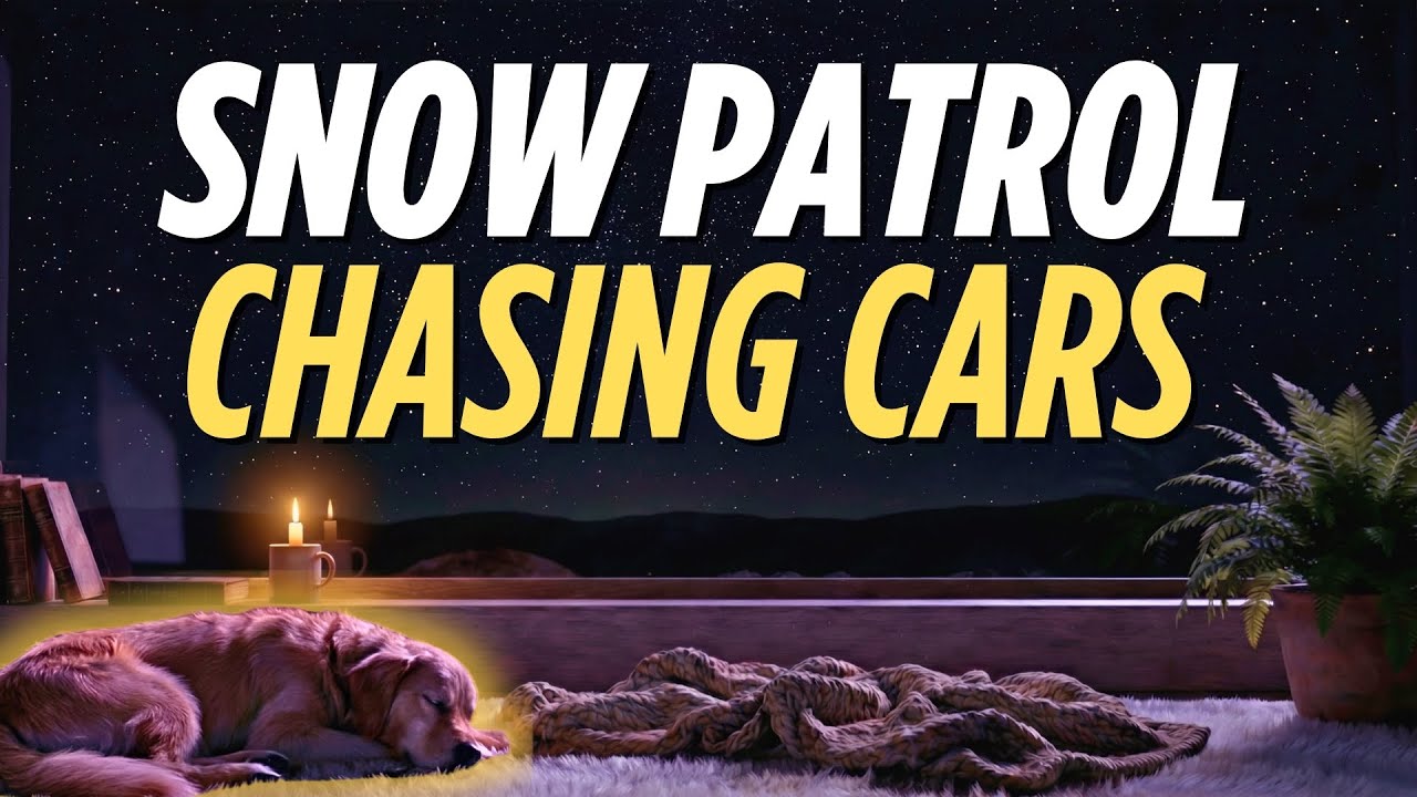 Snow Patrol - Chasing Cars (Lyrics) | Late Night Visualizer [4K]