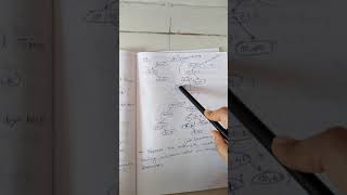Deletion of node from multidimensional tree Profile