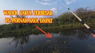 EDAN.. !?!!  WADER CAKUL DI SPOT INI UKURAN NYA DI ATAS RATA2...