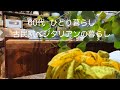 【古民家暮らしのvlog】手作りの棚に色を塗る/秋の食材たっぷり弁当/仔猫の成長