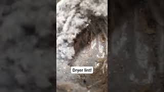 Download Lagu Oh lint! #chimmy #chimneysweep #dryervent MP3