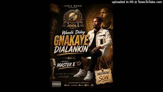 DIALANKINE GNAKAYE_MASTER E