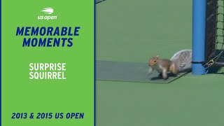 Squirrels Stop Play at the US Open!