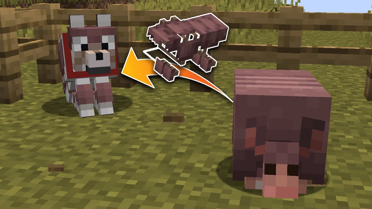 Armure de chien avec l'armadilo? L'arnaque de Minecraft? ( Comment