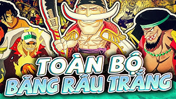 ONE PIECE | BĂNG HẢI TẶC RÂU TRẮNG - HUYỀN THOẠI MỘT THỜI CỦA GRANDLINE