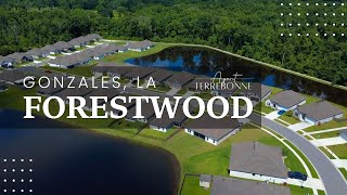 Newer Construction Homes in Forestwood | Gonzales, LA | DSLD Development