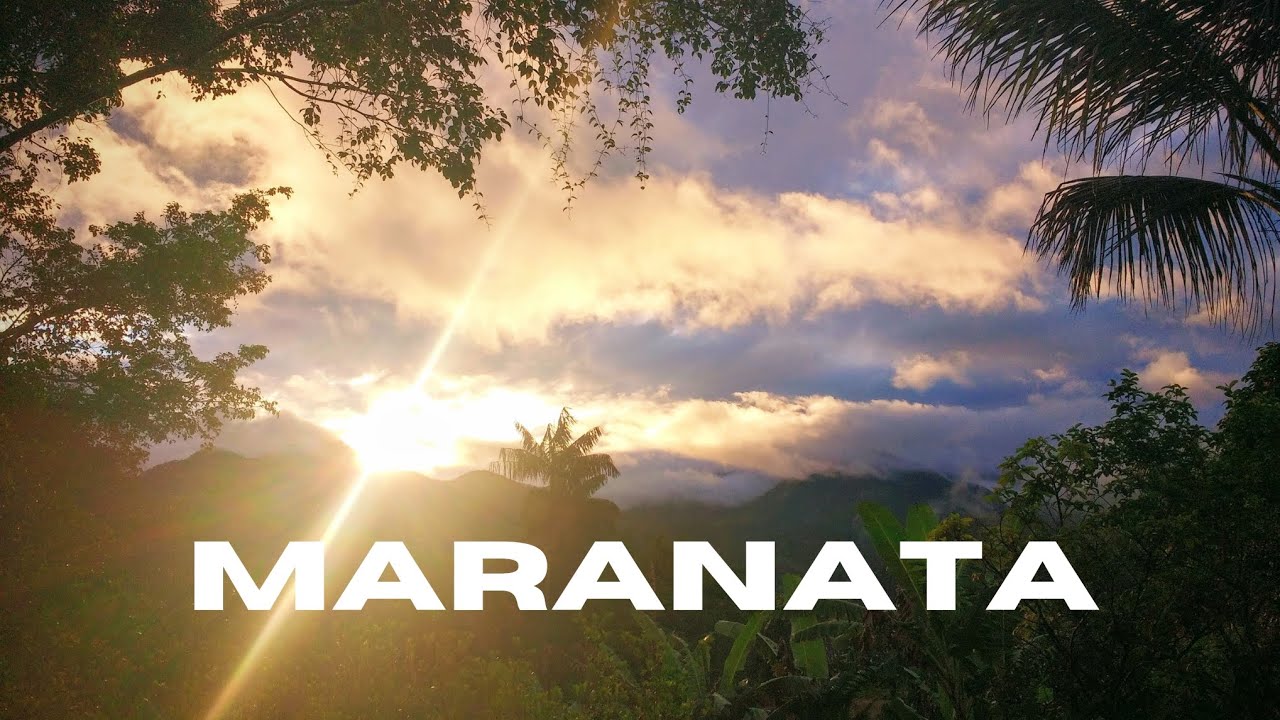 AVIVAH - (Fernanda Madaloni )- Maranata | Instrumental