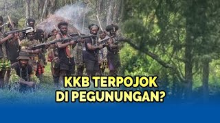 Download Lagu 🔴GELOMBANG Perlawanan Membara di  Papua, Rakyat Nekat Lawan OPM, Usir Mundur dari Kampung MP3 Download Lagu 🔴GELOMBANG Perlawanan Membara di  Papua, Rakyat Nekat Lawan OPM, Usir Mundur dari Kampung MP3