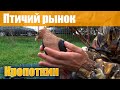 Птичий рынок. Кропоткин. Часть 3. [26.09.2021]