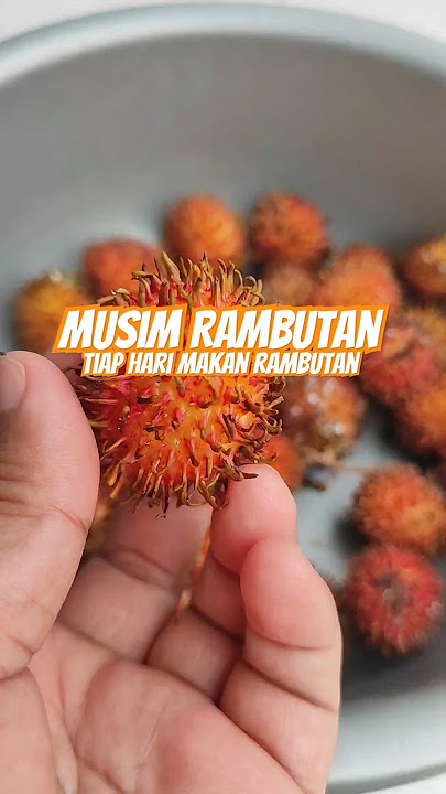 Kok bisa raffi ahmad gk suka rambutan 🤣#shorts #buah #rambutan #remix #music #dj #djremix #mainyuk