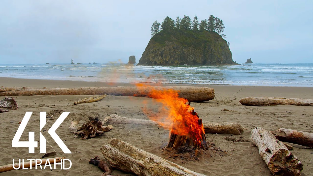 8HRS of Campfire Crackling Sounds and Ocean Waves Sounds on the Second Beach  Olympic National Park