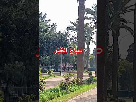 صباح الخير دعاء الصباح حالات واتس أسعد الله صباحكم صباح الخير صباح الورد