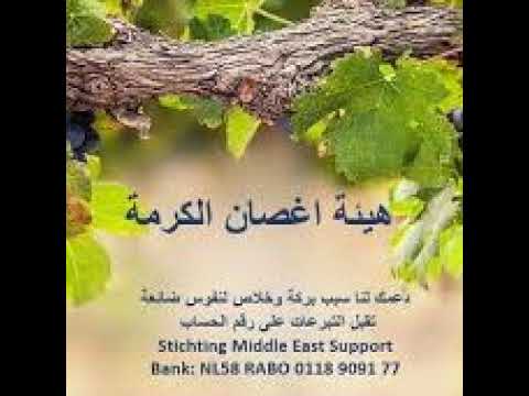 Livestream هيئة اغصان الكرمة أوروبا 