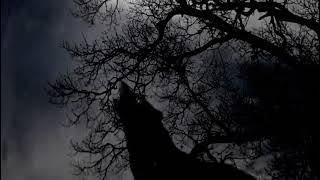 Triana Tiempo sin saber