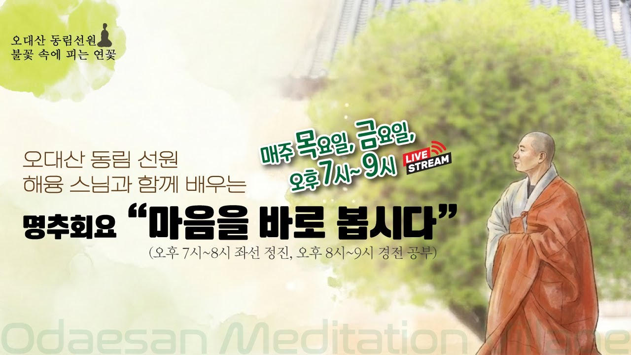 불꽃 속에 피는 연꽃 | 2026.1.16.(금) 저녁 정진  |  좌선 & 경전 공부(마음을 바로봅시다) ㅣ Meditation Daily Guided