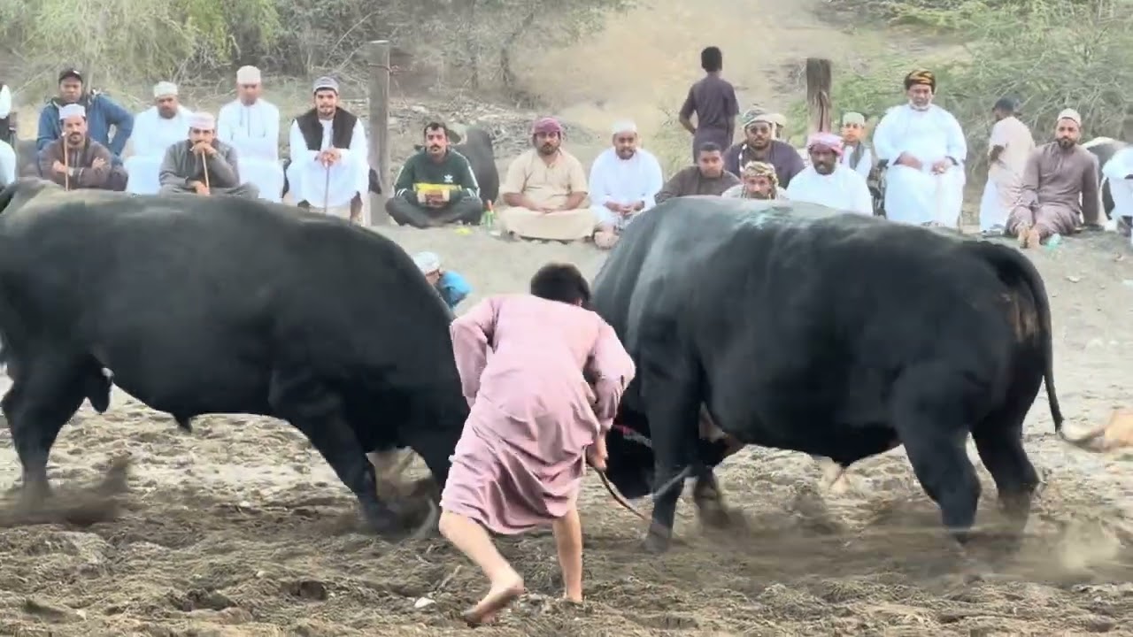 ١٠ يناير، ٢٠٢٦