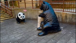 Asia’s Largest Zoo! A Fun Day at Taipei Zoo