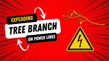 Tree Branch on Power Lines(The Limb Evaporates)