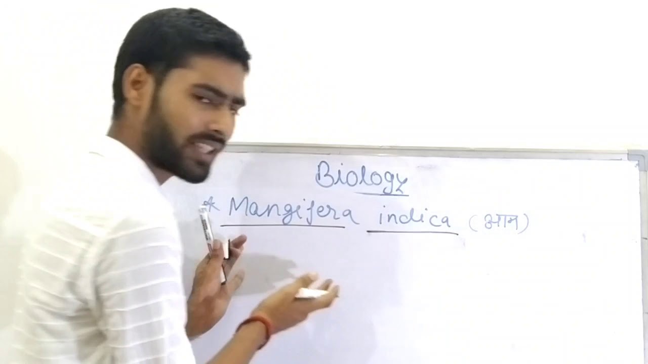 Nomenclature Biology YouTube