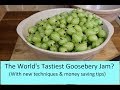 The World&#39;s Tastiest Gooseberry Jam?