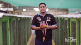 Invitación 4To Aniversario Galpón Santander