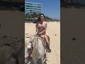 Riding horses on the beach in Puerto Vallarta! 🏝️ #shorts