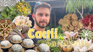 Thousands of GORGEOUS Cactii Succulents Explored in Great Details! Rare Trendy Mutated Variegated!