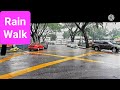 Walking in the Rain (Eps-38) to Royal Selangor Polo Club, Kuala Lumpur, Malaysia.