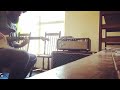 Tycobrahe Octavia + Bassman Blackface 1965 Vintage
